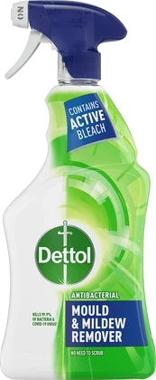 Dettol Mould & Mildew Remover Spray 750ml